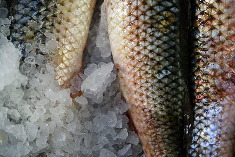    Ilya Moskovets/Global Look Press