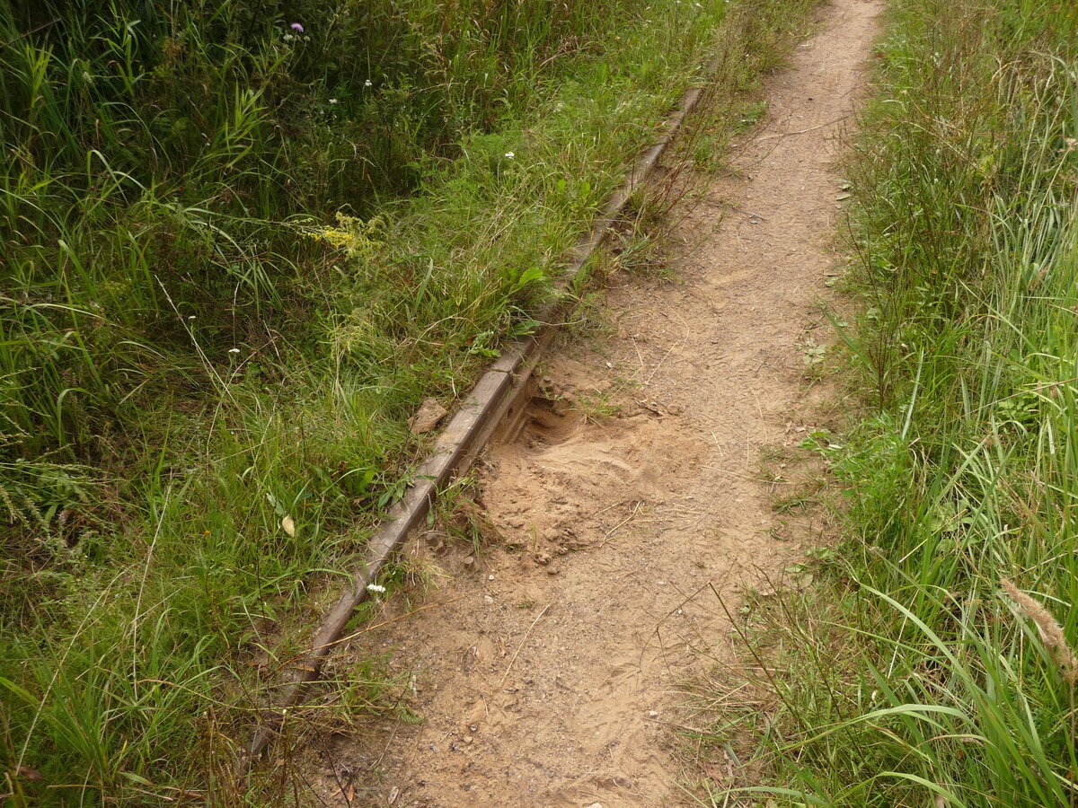 © User 699 / Wikimedia Commons / CC BY-SA 3.0 (Остатки железнодорожного пути на бывшем перегоне Запсковье – Ваулино линии Псков – Гдов – Сланцы, 2013 г.)