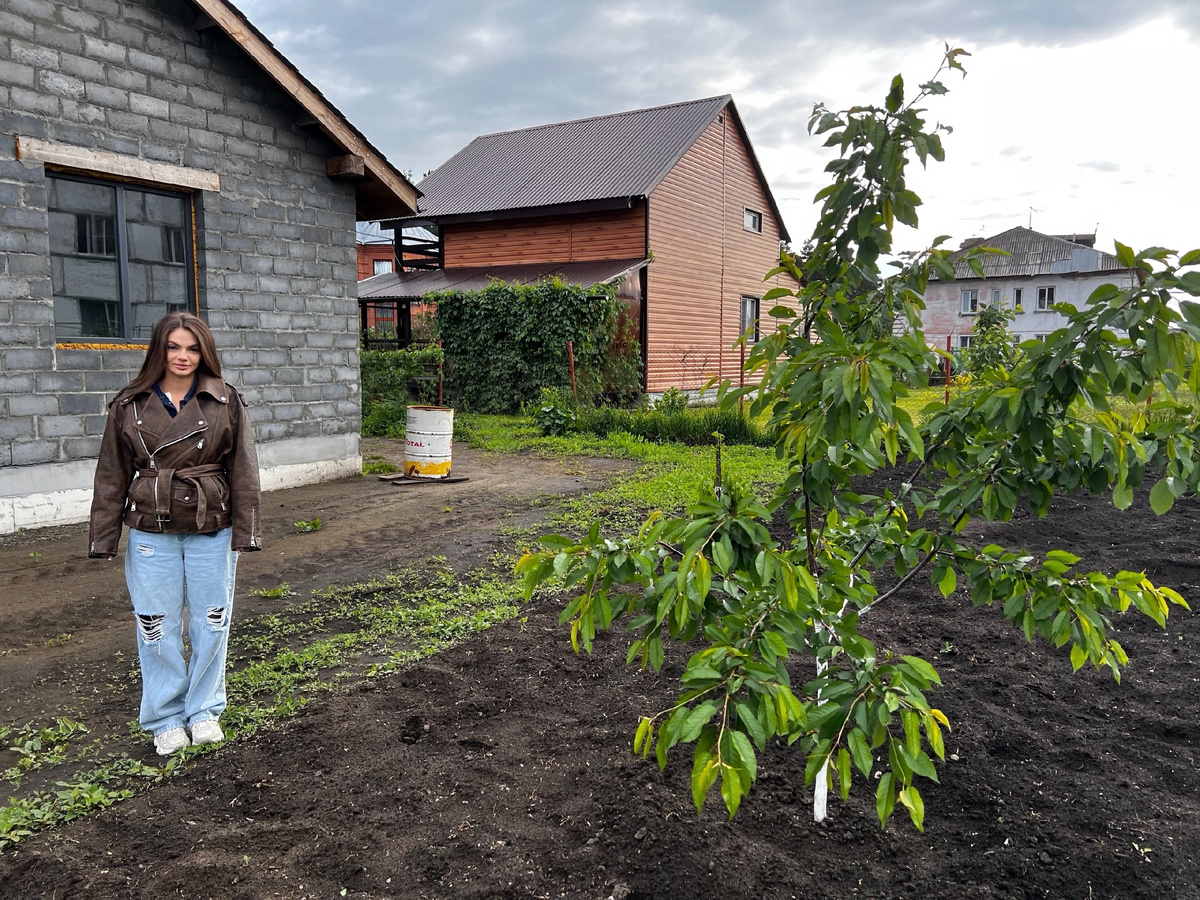 Дерево у соседей. 