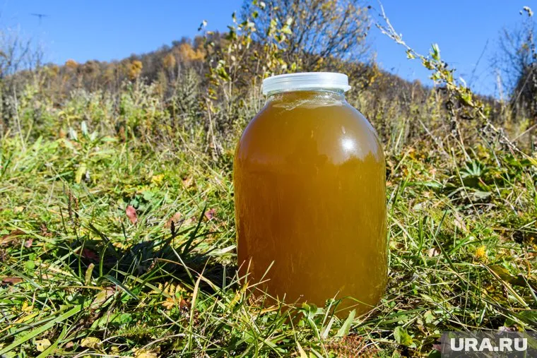 Пермякам придется платить больше за натуральный мед
Фото: Владимир Жабриков © URA.RU