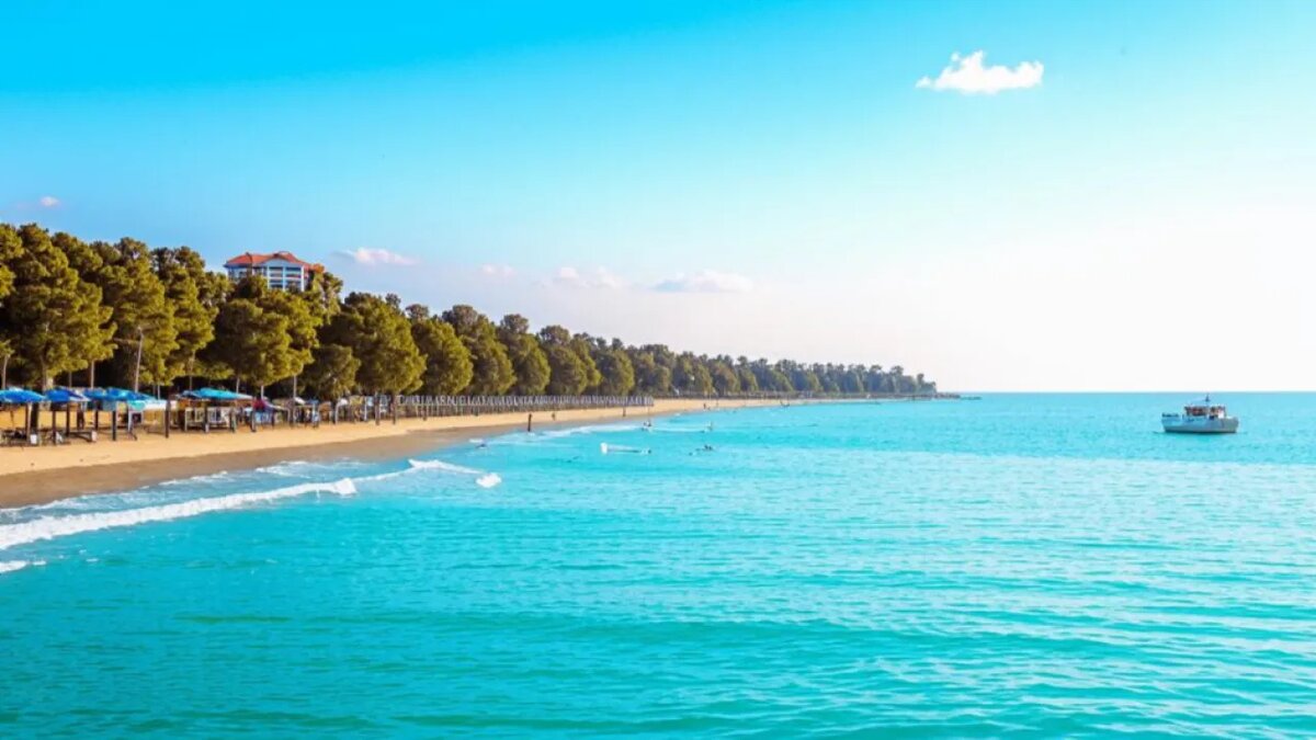    Сгенерировано ИИ