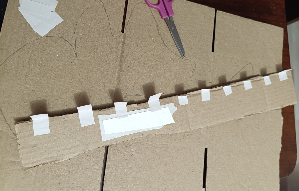 "Позвоночник" акулы