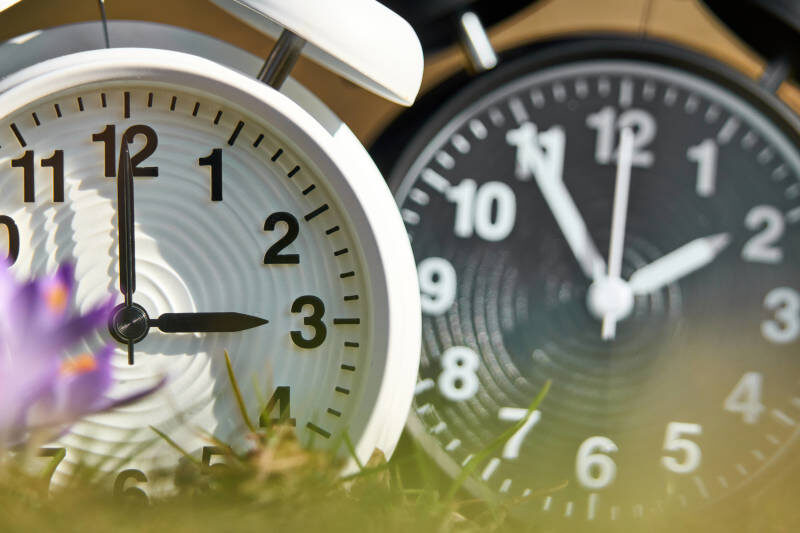    Фото: © IMAGO/Michael Bihlmayer/www.imago-images.de/Globallookpress