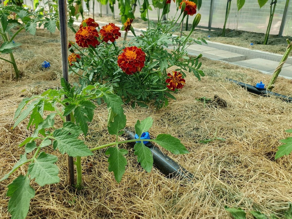 Фото из личного архива