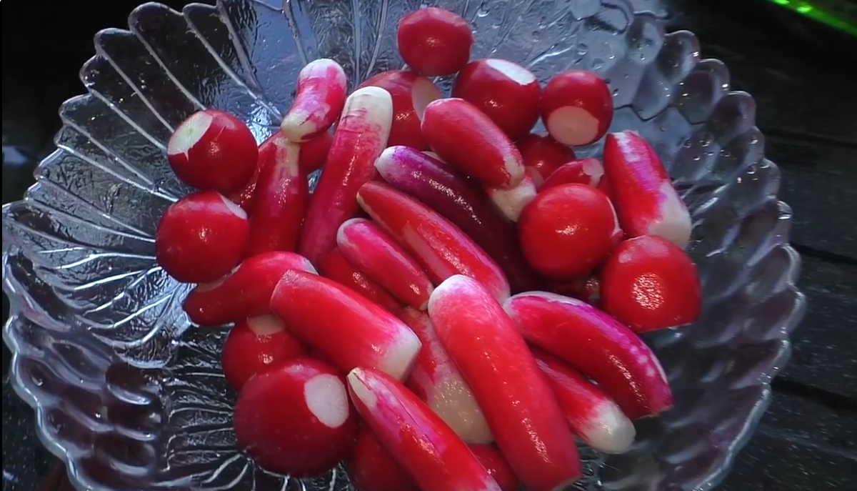 Фото Татьяны Семёновой. 