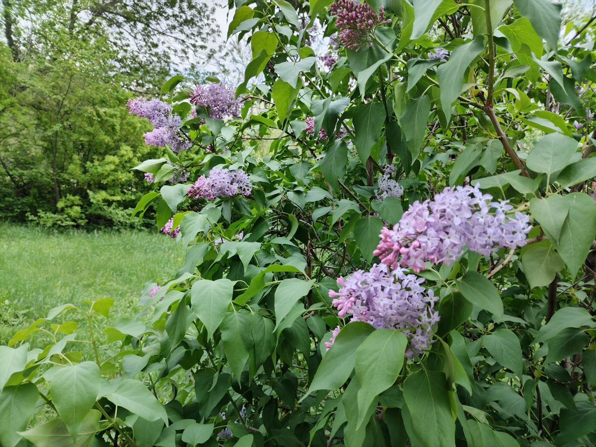 Фото автора.