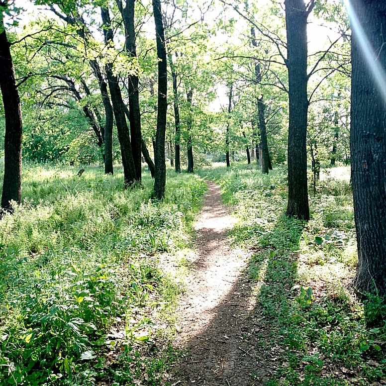 Тропинка в отпуск)