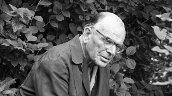    Константин Паустовский© РИА Новости . Соловьев