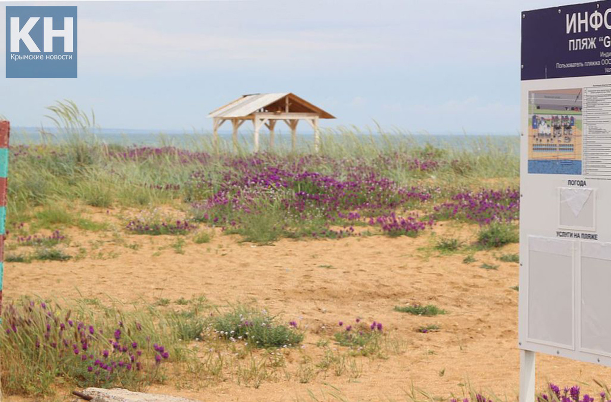 Май на Золотом пляже. В 2019 году эту красоту хотели принести в жертву ради бани коммерсантов ООО «Итальяшка»