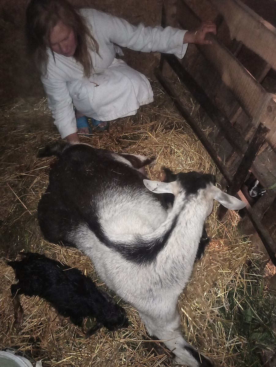 Это я. В халате, после душа. Я же шла только одним глазком посмотреть, а потом уже не до переодеваний было.Оказывается, все это время работала камера. Многое в кадр не попало, но что-то чуть позже покажу