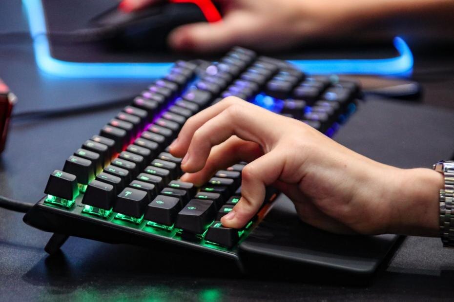    Сергей Лантюхов/NEWS.ru