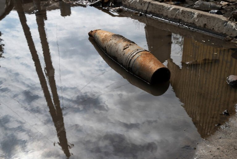    Фото: freepik.com/freepik Илья Федоров