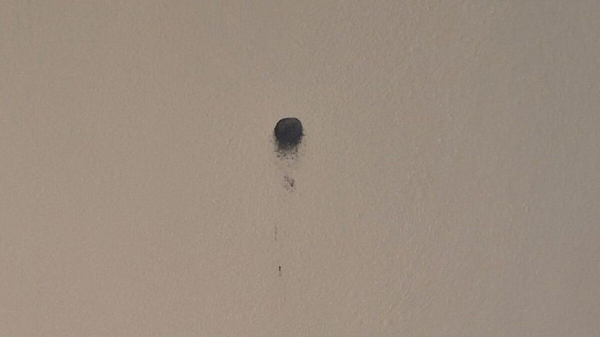    Фото: пресс-служба УМВД России по Краснодару