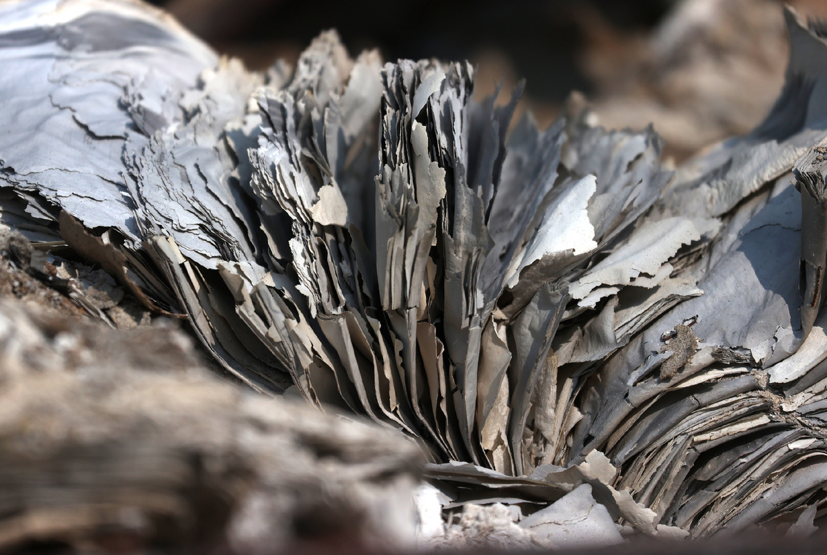 © Justin Sullivan/Getty Images