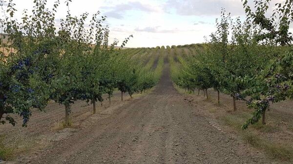   © Photo : Личный архив / Ирина Бессараб