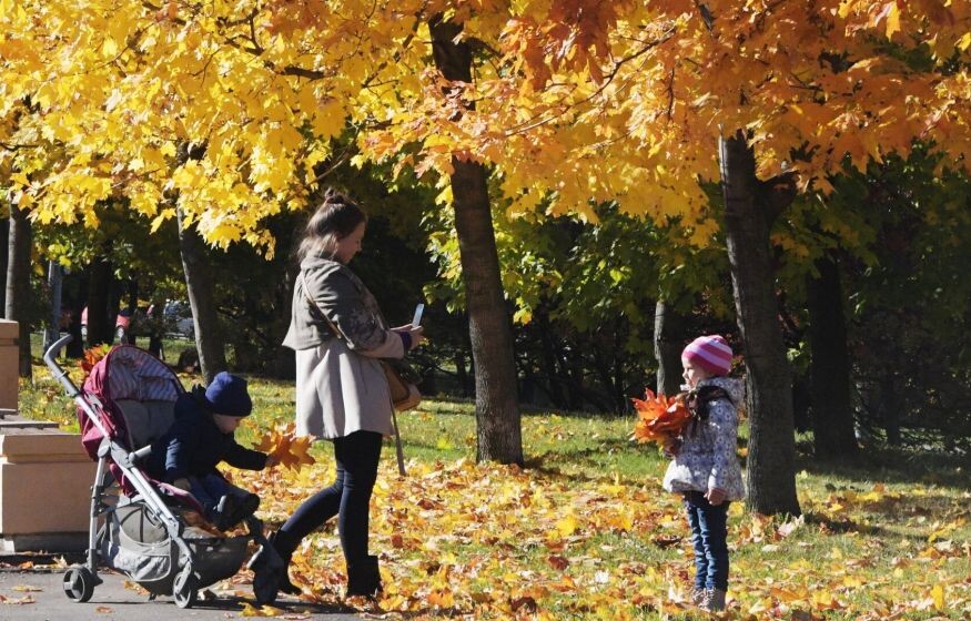    Финансовая «подушка безопасности» для детей со стартовой суммой в 100 тысяч: законопроект для поддержки демографии