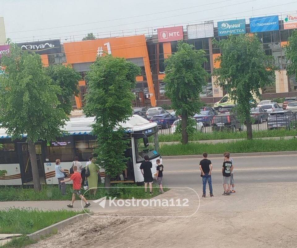    ФОТО: t.me/kostroma112