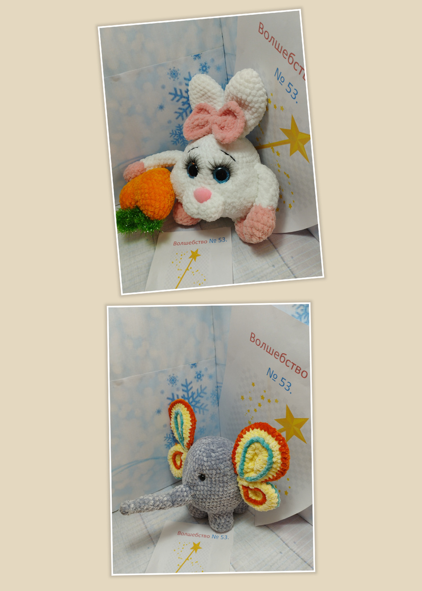 Фото автора. Мои победители. 