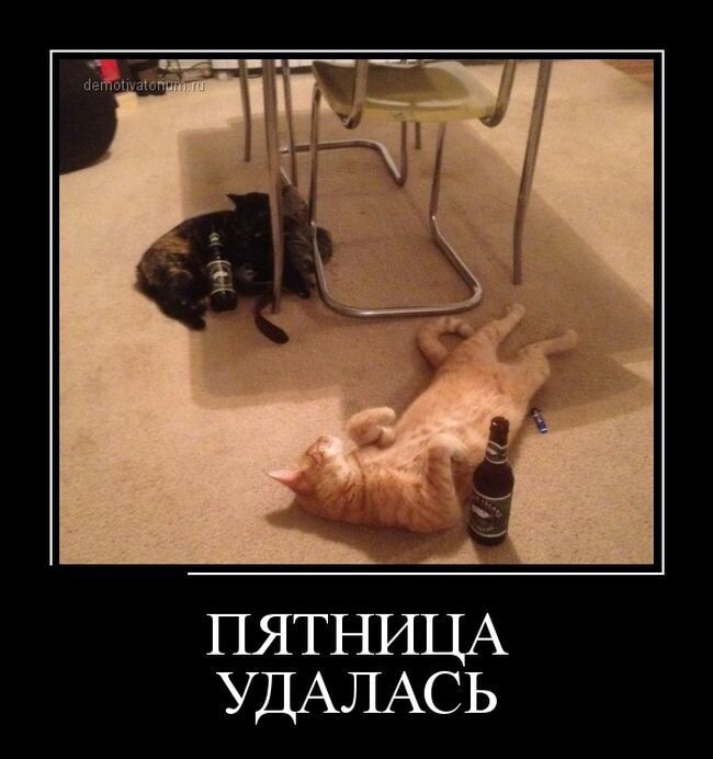 Яндекс картинки