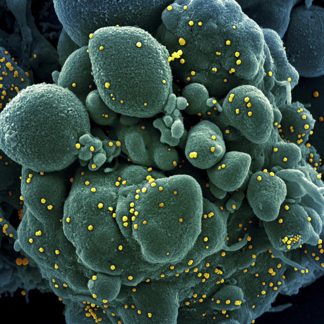    Фото с сайта pxhere.com