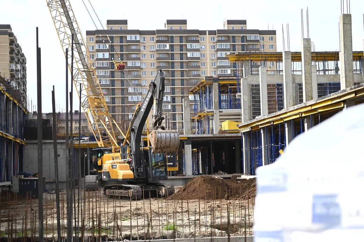    Фото: Андрей Зубов/пресс-служба администрации Краснодара