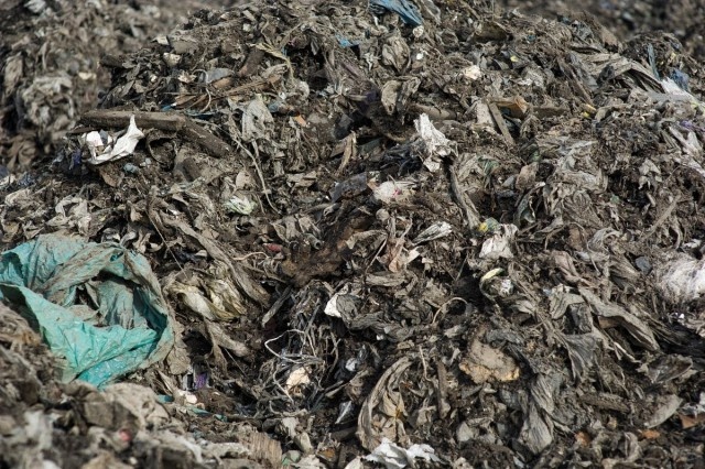   Фото из архива Калининград.Ru