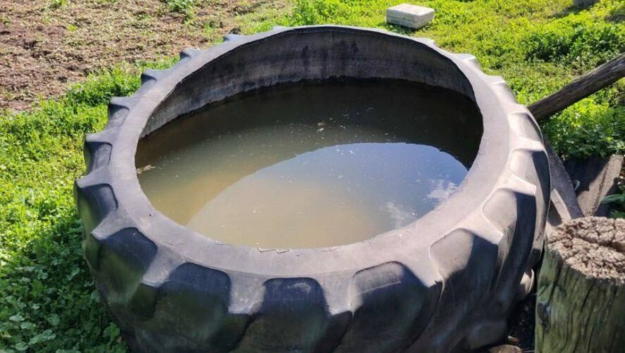    Фото: пресс-служба ГУ МЧС России по РТ