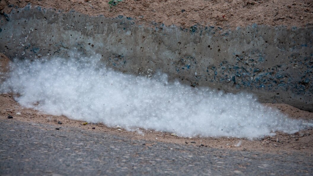    Svetlana Vozmilova/Globallookpress