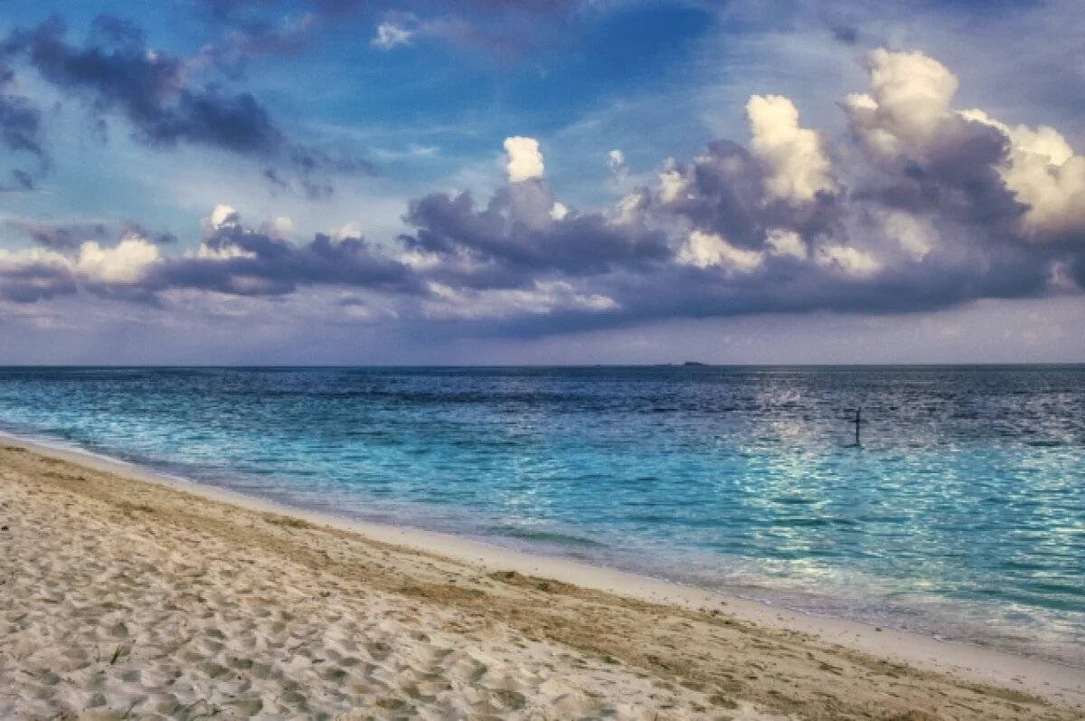    В РСТ не зафиксировали вспышки лихорадки чикунгунья у россиян на Мальдивах