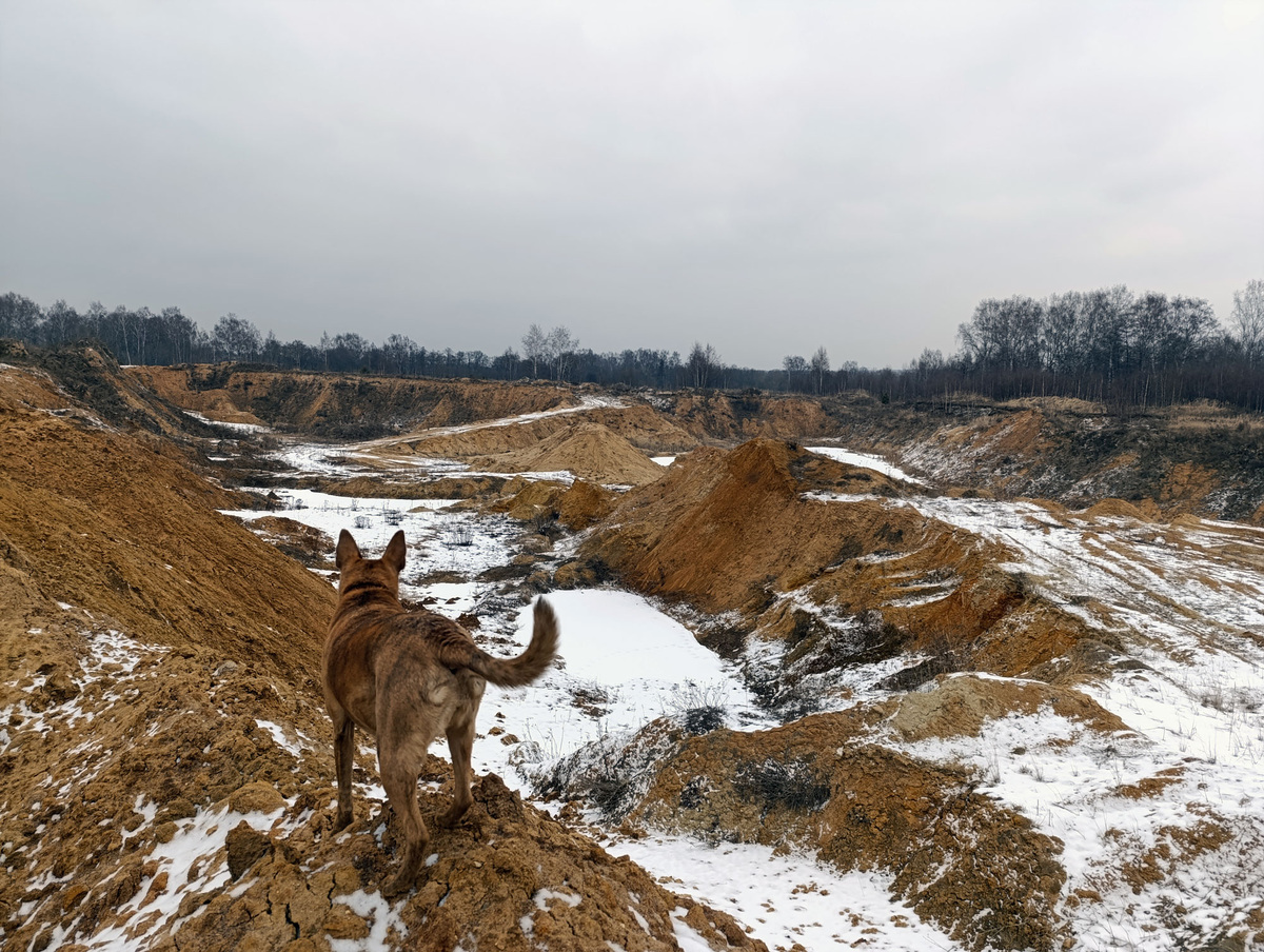 Дина и карьер