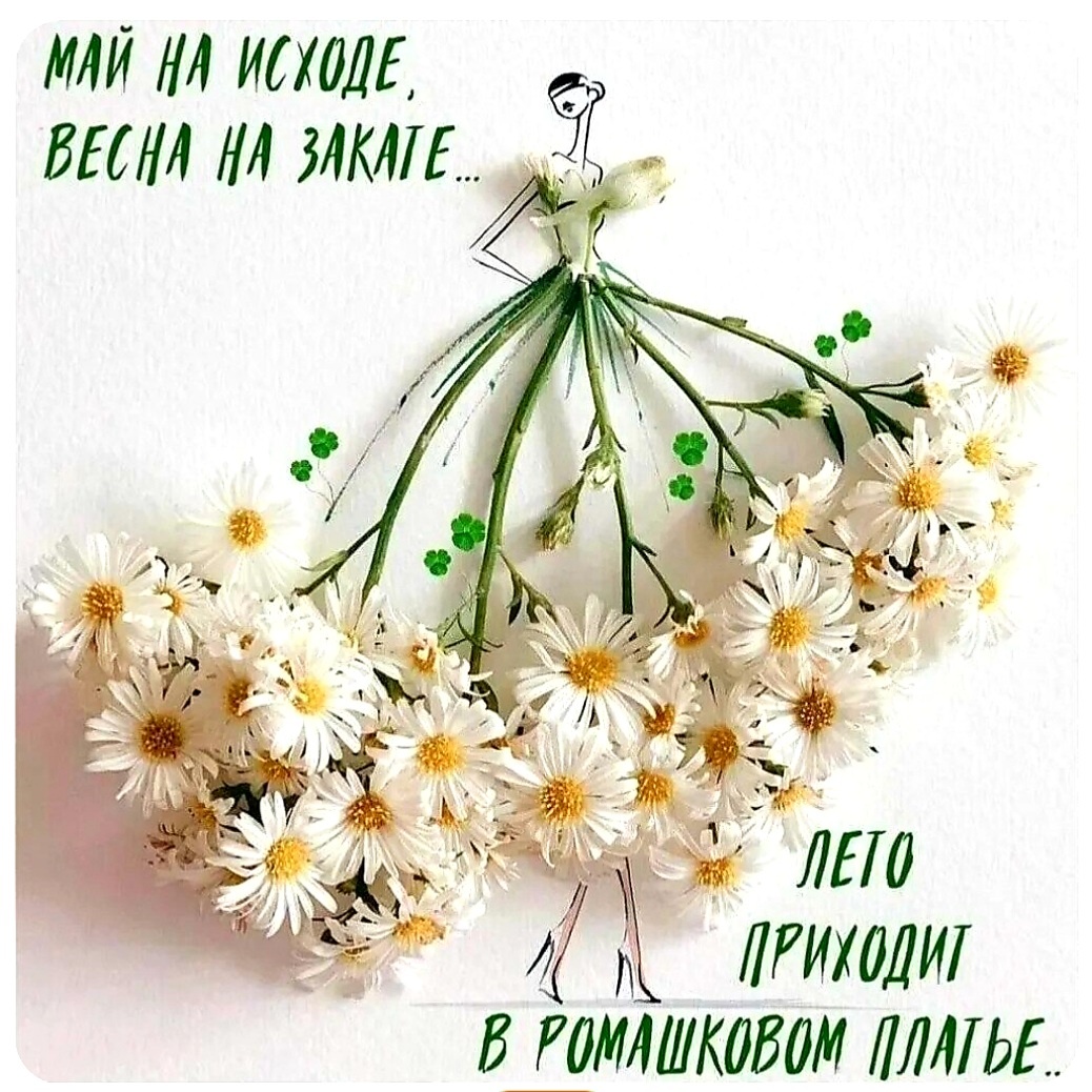 Из открытого источника в интернете