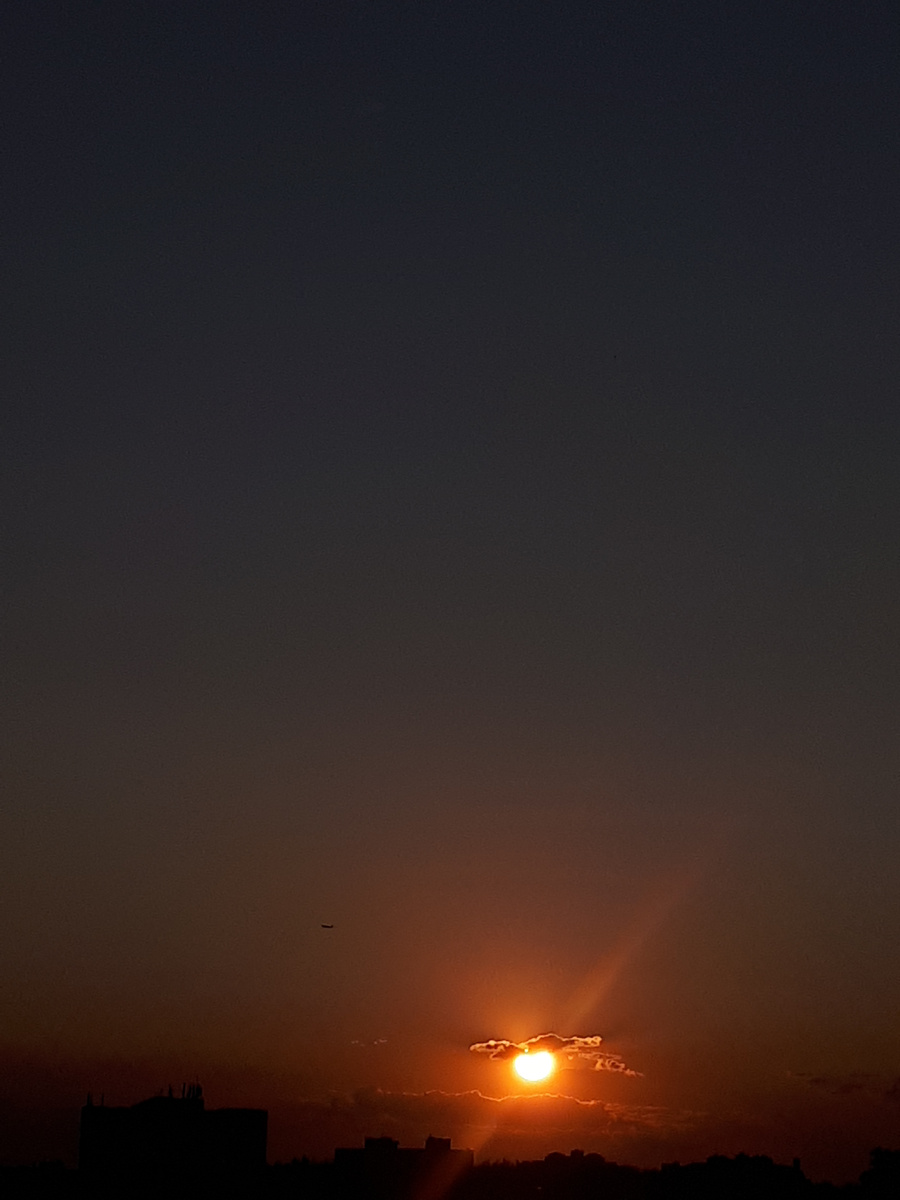 Личное фото. 04.06.2025г.