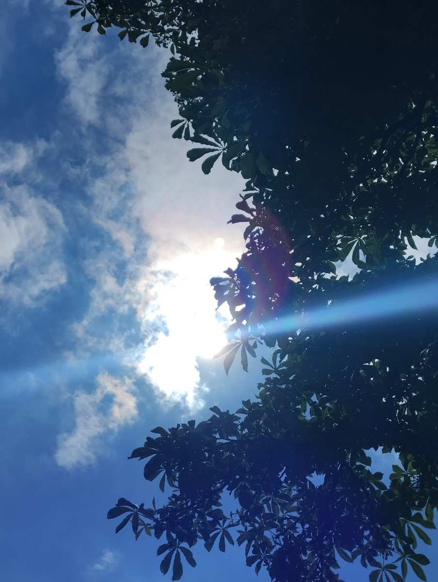 Красивый кадр