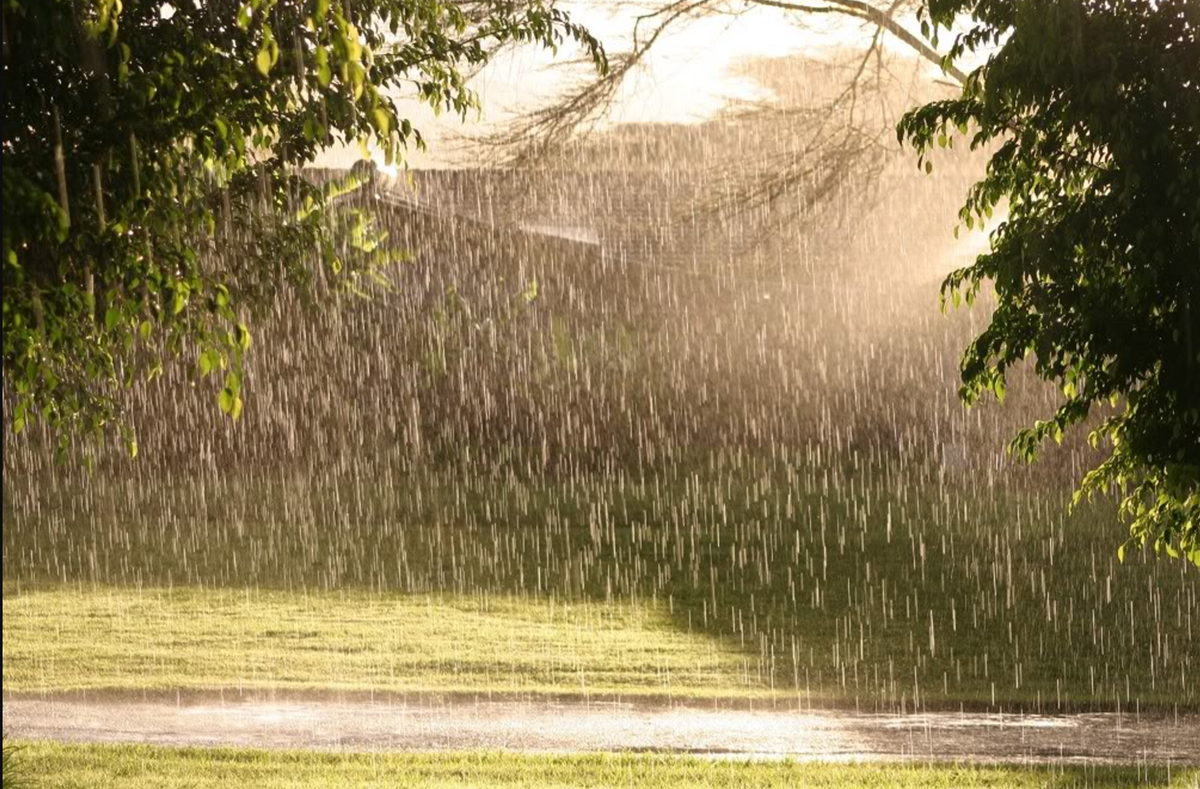 Картинка из интернета