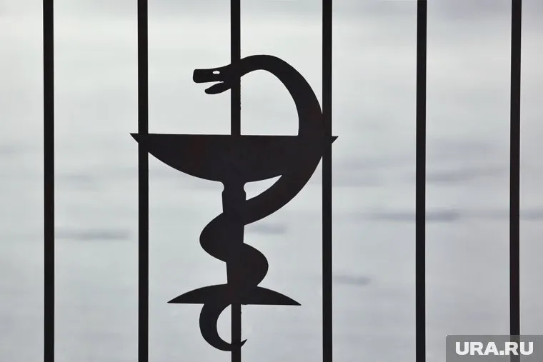 Предпочтение отдается кандидатам с опытом ведения переговоров с крупными клиентами
Фото: Екатерина Сычкова © URA.RU