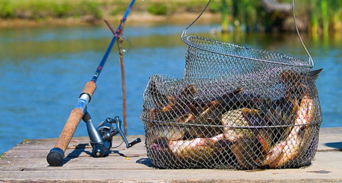Фото с сайта: https://i.pinimg.com/originals/32/36/98/323698a57280366674a5bd30703d04c8.jpg