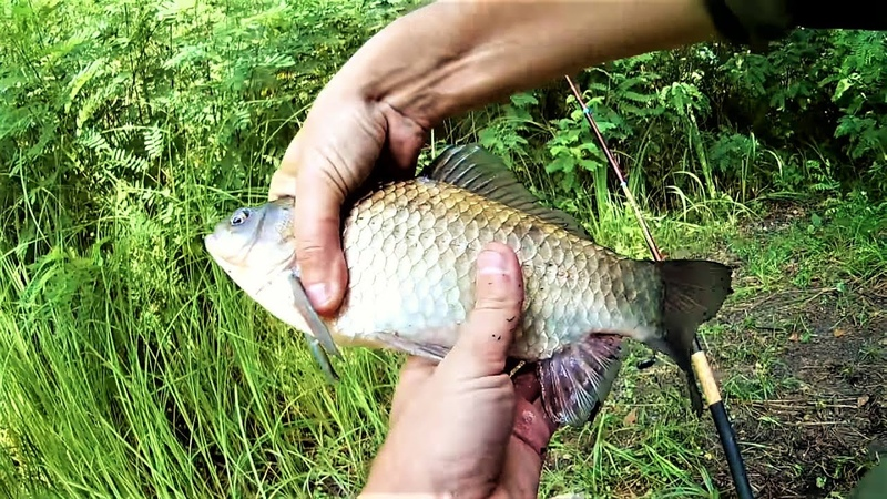 Фото с сайта: https://sun9-62.userapi.com