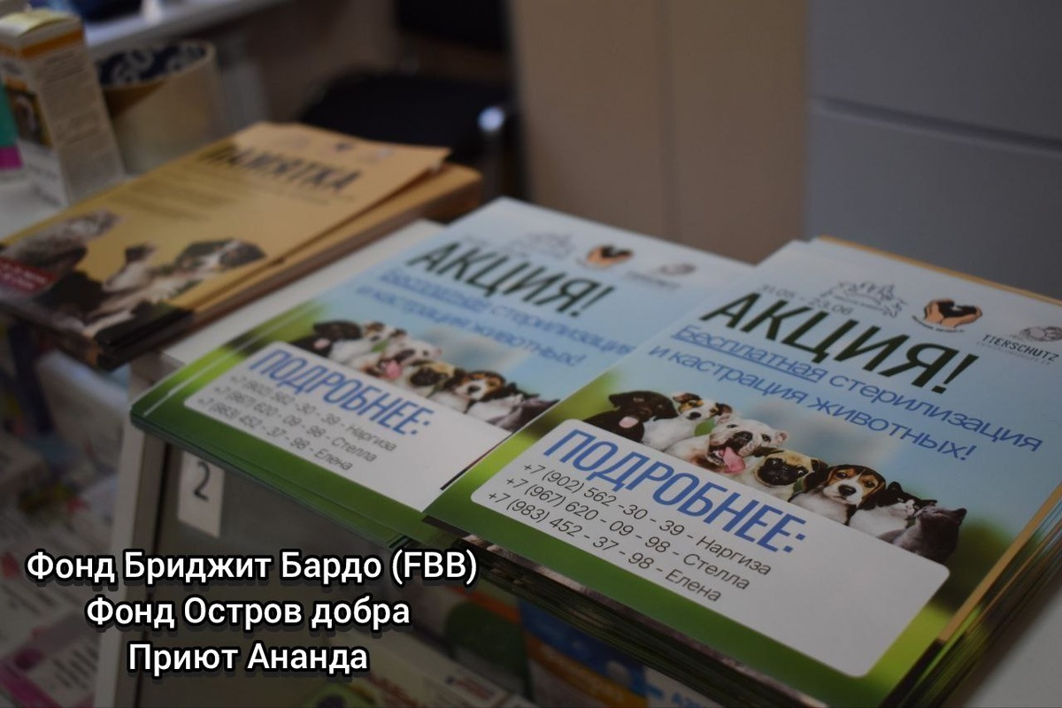 Эти реекламные материалы о проведении акции фонда Бриджит Бардо подготовили сотрудники приюта Ананда, БФ "Осторов Добра"