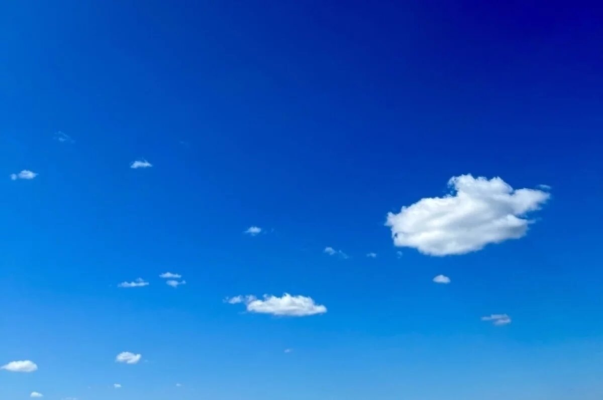    В Тверской области лето начнётся с тёплой и дождливой погоды