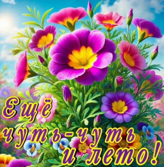 Картинка из открытого доступа в интернете