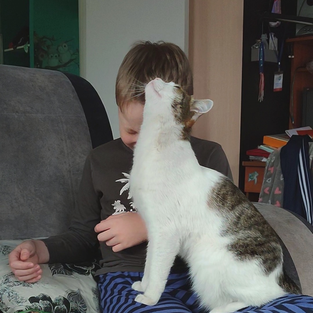 Паша и кот Тёма