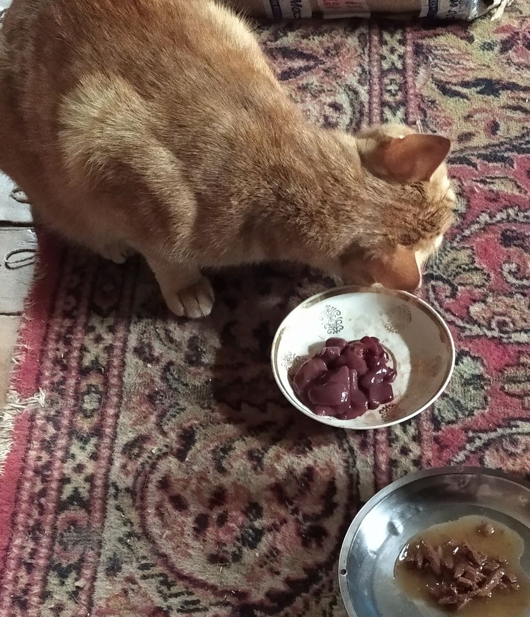 Личное фото