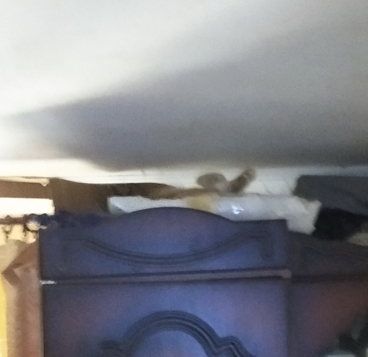 Личное фото