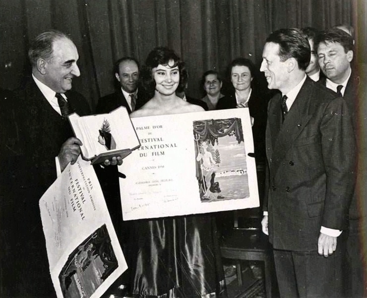 Фото из открытых источников