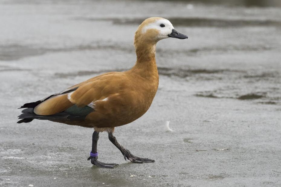    Wilfried Martin/Global Look Press