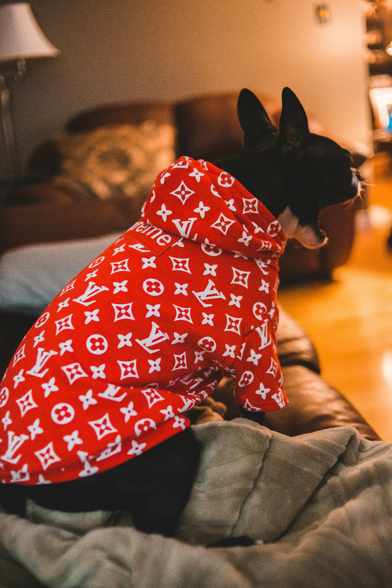 "Мою песню услышат тысячи глаз,
Моё фото раскупят сотни рук"(с) Фото: Unsplash