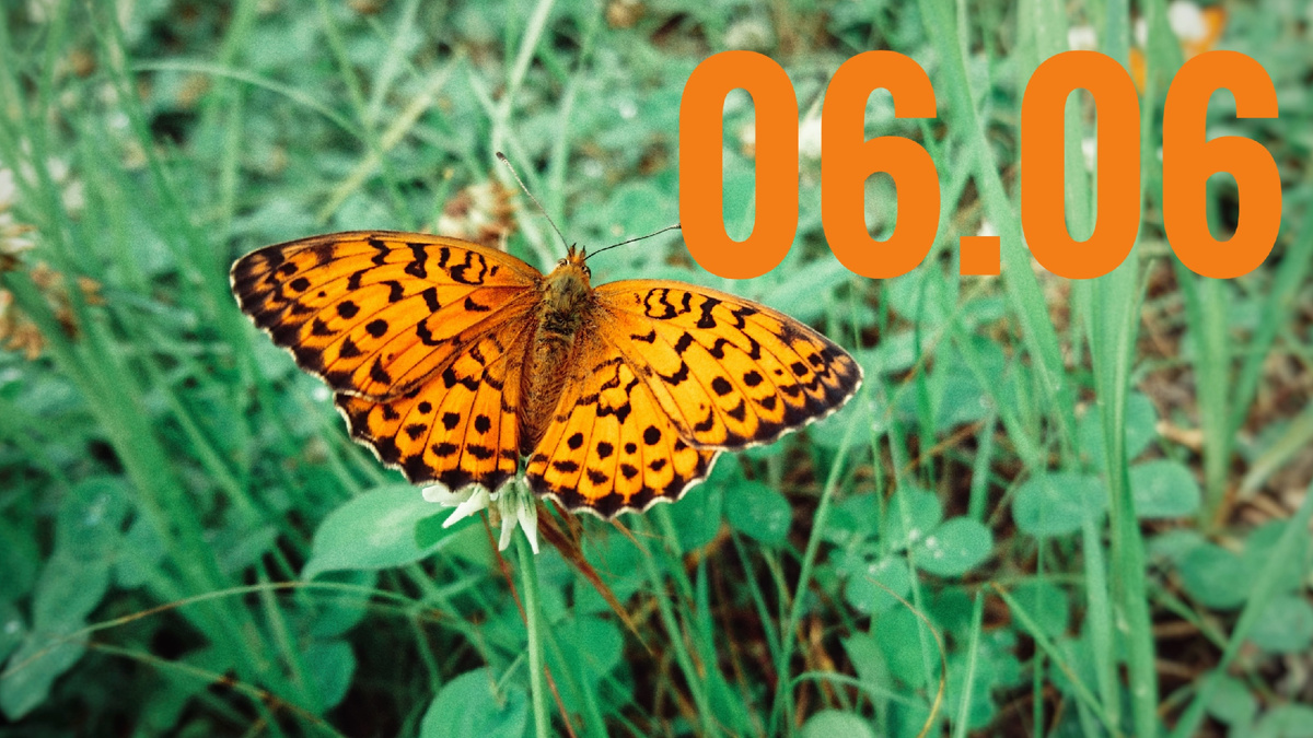 Зеркальная дата 6 июня 2025 года