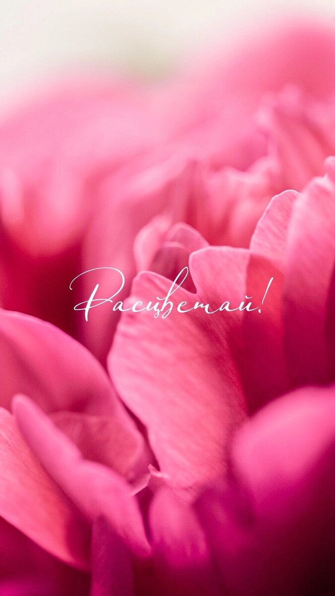 Фото из открытых источников интернета