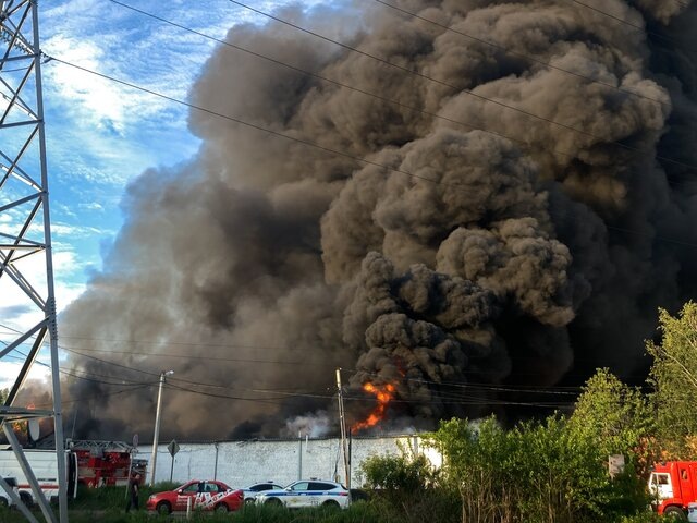    Фото: ТАСС/Александра Краснова