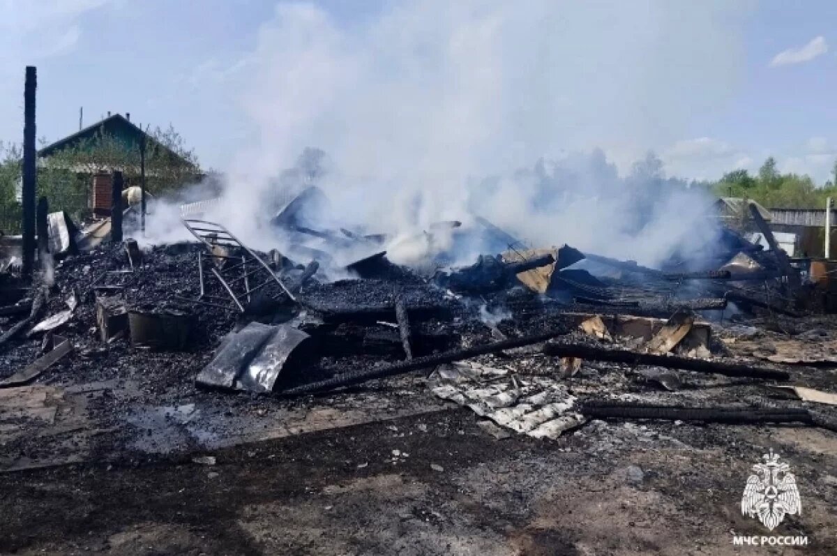    Стали известны подробности гибели девочки в пожаре в Тверской области